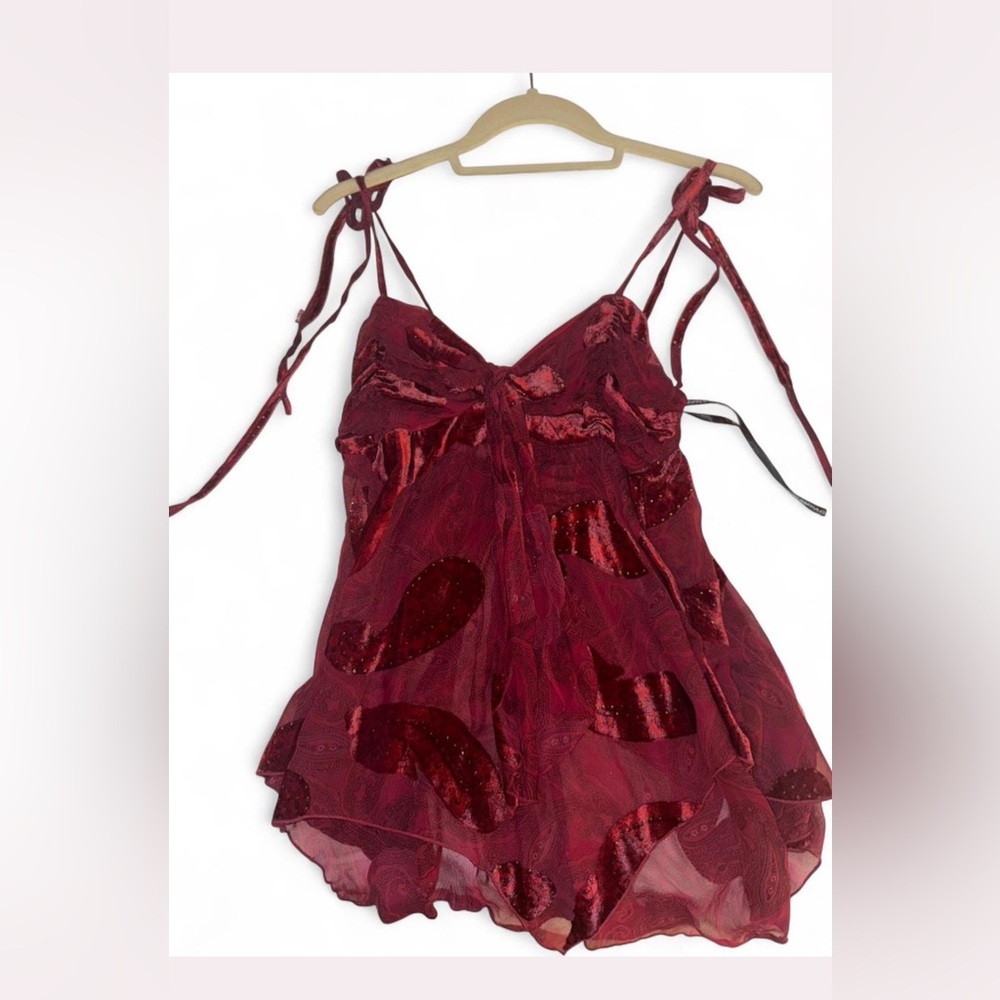 Elegant Red Women's Vintage sheer and velvet Top